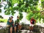 A lecture in the shade of an Olive tree